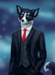  2019 anthro black_body black_fur black_nose blue_eyes blue_pupils border_collie bottomwear canid canine canis clothed clothing collie dipstick_tail domestic_dog dress_shirt fully_clothed fur hand_in_pocket herding_dog hi_res jacket kuroi_ashi looking_aside male mammal markings multicolored_tail necktie open_jacket pants pastoral_dog pockets red_markings sheepdog shirt simple_background smile smoothie_(artist) solo suit topwear vest white_body white_fur 