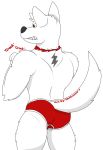  2019 alpha_channel anthro anthrofied bolt bolt_(film) briefs butt canid canine canis clothing collar cracking_knuckles digital_media_(artwork) disney domestic_dog fur hair male mammal muscular muscular_male notkastar signature simple_background solo sound_effects teeth text transparent_background underwear white_body white_fur 