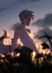  2019 animal_humanoid anthro canid canid_humanoid canine canine_humanoid clothed clothing day detailed_background digital_media_(artwork) eyebrows eyelashes grey_hair hair humanoid lukiri male mammal mammal_humanoid outside shirt sky smile solo tank_top topwear 