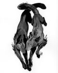  2019 ambiguous_gender black_body black_fur canid canine duo feral fur mammal paws simple_background tamberella traditional_media_(artwork) white_background 