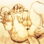  1:1 2017 5_fingers 5_toes anthro anus balls butt canid canine canis censored claws domestic_dog ekumaru erection feet fingers holding_butt humanoid_penis legs_up lying male mammal nude on_back pawpads penis presenting simple_background slightly_chubby soles solo spread_butt spread_legs spreading toe_claws toes vein veiny_penis 