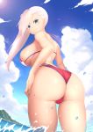  ass bikini bu_li fate/grand_order miyamoto_musashi_(fate/grand_order) swimsuits thong wet 