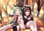  2girls :d ahoge akashi_(azur_lane) animal_ear_fluff animal_ears autumn_leaves azur_lane bangs beret black_footwear black_sailor_collar bow braid brown_dress brown_hair brown_headwear bunny_ears camera cat_ears closed_mouth commentary_request dress eyebrows_visible_through_hair eyes_visible_through_hair fang glasses green_hair hair_between_eyes hair_bow hair_over_one_eye hat highres holding holding_camera jacket juliet_sleeves leaf long_hair long_sleeves looking_at_viewer maple_leaf mechuragi multiple_girls on_head open_clothes open_jacket open_mouth plaid plaid_dress puffy_sleeves red_bow red_eyes round_eyewear sailor_collar sailor_dress scarf shiranui_(azur_lane) shoe_soles shoes sitting sleeves_past_fingers sleeves_past_wrists smile thighhighs tilted_headwear tree very_long_hair white_jacket white_legwear white_scarf wide_sleeves yellow_eyes 