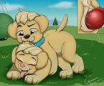  blue_eyes brother brother_and_sister canid canine canis collar domestic_dog ella_(paw_patrol) eyes_closed female feral fur guadianslade_(artist) hair incest male male/female mammal paw_patrol sex sibling sister tuck_(paw_patrol) twincest twins vaginal 