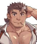  1boy bara beard_stubble brown_hair chest_hair cigarette facial_hair hand_on_own_head highres large_pectorals long_sideburns looking_at_viewer male_focus mature_male miha_yu1 mononobe_kyoma multicolored_hair muscular muscular_male necktie partially_unbuttoned pectoral_cleavage pectorals portrait sideburns smile solo streaked_hair stubble thick_eyebrows tokyo_afterschool_summoners undone_necktie white_hair 