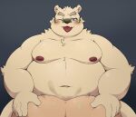 2023 anthro bear belly big_belly blush butt duo eyewear glasses hi_res human human_on_anthro interspecies kemono leib_(tas) lifewonders male mammal moobs navel nipples one_eye_closed overweight overweight_male polar_bear pomupomu490 sex simple_background tokyo_afterschool_summoners tongue tongue_out ursine wink