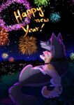 ambiguous_gender blue_eyes canid canine canis collar digital_media_(artwork) duo fennec feral fireworks fox fur grey_body grey_fur grey_hair hair hi_res looking_up male mammal new_year_2023 outside purple_eyes ruki_(character) rukifox size_difference town wolf