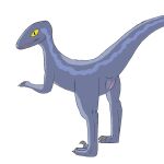 1:1 blue_(jurassic_world) claws dinosaur dromaeosaurid female jurassic_park jurassic_world reptile scalie solo theropod universal_studios velociraptor