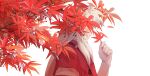  1boy absurdres animal_ears autumn_leaves bead_necklace beads branch covered_face dog_ears from_side hand_up highres holding holding_leaf inuyasha inuyasha_(character) japanese_clothes jewelry leaf long_hair looking_at_hand looking_down male_focus maple_leaf necklace red_theme sidelocks simple_background solo upper_body white_background white_hair yuigacyako 