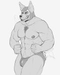 2024 abs anthro biped bulge canid canine canis clenched_teeth digital_drawing_(artwork) digital_media_(artwork) domestic_dog drank_hyena hi_res luchador male mammal mask monochrome muscular muscular_anthro muscular_male navel nipples pecs simple_background solo sports_mask sportswear tail tail_motion tailwag teeth wrestler wrestling_mask