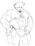 anthro domestic_cat felid feline felis hi_res humanoid male male/male mammal overweight overweight_male solo