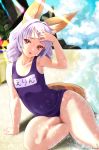  animal_ears elin kitsune kumehara_chiyota school_swimsuit swimsuits tail tera_online wet 