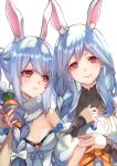  animal_ear_fluff animal_ears blue_hair blush braid breasts carrot_hair_ornament food-themed_hair_ornament hair_ornament hololive kei_hinagi long_hair looking_at_viewer multicolored_hair pekomama rabbit_ears rabbit_girl short_eyebrows small_breasts smile solo thick_eyebrows twin_braids twintails two-tone_hair usada_pekora virtual_youtuber white_hair 