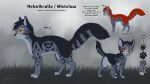 all_fours domestic_cat fan_character felid feline felis female_(lore) female_symbol feral gender_symbol grey_body hi_res mammal markings model_sheet orange_eyes rear_view rukifox side_view symbol warriors_(book_series)