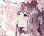  1girl branch brown_hair cherry_blossoms greyscale hair_ornament hairclip long_hair monochrome pirorr solo sophia_esteed star_ocean star_ocean_till_the_end_of_time 