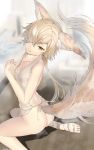  1boy animal_ears ass backless_outfit bath blonde_hair blush brown_eyes fox_boy fox_ears fox_tail granblue_fantasy hair_over_one_eye highres kou_(granblue_fantasy) large_tail looking_at_viewer male_focus naruse_hirofumi steam tail 