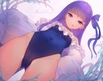  fate/grand_order meltlilith munuu swimsuits wet 