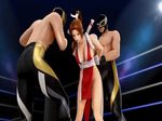  3d animation gif king_of_fighters mai wrestler wrestling 