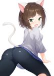  1girl absurdres animal_ears ass bangs black_pants blush breasts brown_hair cameltoe cat_ears cat_girl cat_tail commentary_request eyebrows_visible_through_hair green_eyes grey_shirt highres idolmaster idolmaster_cinderella_girls idolmaster_cinderella_girls_starlight_stage looking_at_viewer looking_back maekawa_miku open_mouth pants pantylines parted_bangs rekareka shirt short_sleeves simple_background small_breasts solo tail v-shaped_eyebrows white_background 