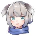  1girl animal_ears bangs blue_eyes blue_scarf blunt_bangs blush copyright_request dog_ears eyebrows_visible_through_hair eyelashes face furumiya_neko head_only looking_at_viewer open_mouth scarf shiny shiny_hair short_hair silver_hair simple_background solo upper_teeth white_background 