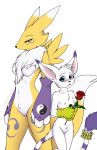  anthro blue_eyes blush breasts canid canine clitoris digimon digimon_(species) digital_media_(artwork) duo felid female fingers flower fur gatomon hi_res mammal mancoin navel nipples nude open_mouth plant pussy renamon rose_(disambiguation) shy signature simple_background small_breasts smile tuft video_games white_body white_fur yellow_body yellow_fur 