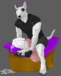  anarchist balls bandage big_balls bodily_fluids bull_terrier canid canine canis clothing cum domestic_dog excessive_cum genital_fluids gloves handwear hi_res huge_balls hunting_dog hyper hyper_art hyper_balls hyper_cum hyper_knot jenklin_(character) jenklinbullterrier_(artist) jewelry lights male mammal muscular necklace relaxing shirt sitting solo terrier topwear 