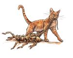  2017 4_toes absurd_res alien alien_(franchise) ambiguous_gender black_eyes death domestic_cat facehugger felid feline felis feral fur hi_res humor hunter jonesy kenket mammal orange_body orange_fur orange_stripes painting_(artwork) pawpads paws pet pink_nose predator/prey prey_(disambiguation) quadruped raised_tail side_view simple_background sketch solo striped_body striped_fur stripes toes traditional_media_(artwork) walking whiskers white_background yellow_eyes 