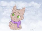  2008 bust_portrait domestic_cat felid feline felis green_eyes male mammal portrait rousefox scarf snow solo 