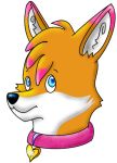  2008 ambiguous_gender blue_eyes canid canine collar fox mammal rousefox simple_background white_background 