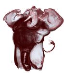  2019 anthro armpit_hair barazoku biceps big_penis body_hair chest_hair dramamine elephant elephantid flaccid flexing hairy hi_res looking_at_viewer male mammal musclegut muscular muscular_male nipples nude pecs penis proboscidean simple_background solo stomach_hair trunk tusks white_background 