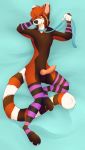  2016 4_toes 5_fingers ailurid anthro balls black_nose brown_body brown_fur digital_media_(artwork) fingers fur hi_res male mammal open_mouth red_panda senimasan solo teeth toes tongue 