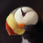 2019 alcid ambiguous_gender avian beak bird blue_eyes digital_media_(artwork) headshot_portrait lari neboveria portrait puffin 