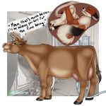 1:1 anthro anthro_on_feral bestiality bodily_fluids bovid bovine breast_milking cattle dialogue female feral hi_res lactating male malware mammal teats udders umbilical_cord unbirthing vaginal vore x-ray 