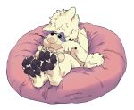  2019 ambiguous_gender black_pawpads canid canine fur hi_res kemono mammal pawpads paws sleeping solo suzumori white_body white_fur 