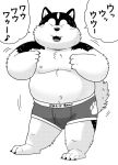  2019 anthro belly black_nose bulge canid canine canis clothing domestic_dog eyes_closed garouzuki japanese_text male mammal moobs navel nipples overweight overweight_male simple_background solo text underwear white_background 