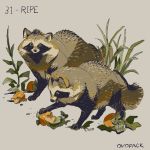  1:1 2019 canid canine duo feral food hi_res mammal ovopack raccoon_dog tanuki 