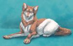  2019 4_toes ambiguous_gender aurru blue_background brown_body brown_fur canid canine canis digital_media_(artwork) domestic_dog feral fur green_eyes looking_at_viewer lying mammal on_front paws simple_background smile solo toes white_body white_fur 