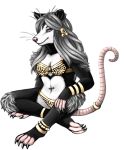  4_toes alpha_channel anklet anthro badgerkatch biped bracelet claws color_edit colored didelphid edit female grey_hair hair jewelry long_hair looking_at_viewer mammal marsupial navel navel_piercing phalangeriform piercing pink_eyes sitting solo toes virginia_opossum 