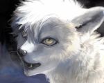  2017 ambiguous_gender canid canine fur headshot_portrait hi_res kemono mammal portrait solo suzumori white_body white_fur 