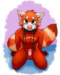  ailurid anthro balls biped blue_eyes collar erection humanoid_penis kneeling leash looking_at_viewer male mammal mosstheopossum nude penis red_panda simple_background sirrin smile solo submissive submissive_male 