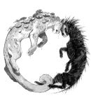  2019 ambiguous_gender cougar duo felid feline feral fur mammal simple_background tamberella traditional_media_(artwork) white_background 
