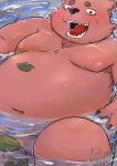  2019 absurd_res anthro balls belly blush hi_res humanoid_hands male mammal moobs navel nipples overweight overweight_male solo teeth tiri_mama tongue water 