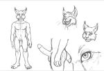  big_penis corin_bailey felid feline humanoid_penis lynx male mammal model_sheet penis sketch 