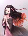  1girl asa_no_ha_(pattern) bit_gag black_hair cowboy_shot english_commentary gag gradient_hair grey_background hair_blowing hair_ribbon hands_on_own_chest haori japanese_clothes kamado_nezuko kimetsu_no_yaiba kimono korean_commentary light_particles long_hair looking_at_viewer mixed-language_commentary multicolored_hair pink_eyes pink_kimono pistachiocream red_hair ribbon solo standing twitter_username very_long_hair 