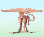  anthro anus areola big_breasts biped breasts butt cat_ears_(disambiguation) claws domestic_cat ear_tuft eyelashes felid feline felis female flexible green_eyes hair handstand kionant long_hair looking_at_viewer mammal nipples nude ponytail pussy simple_background smile splits spread_legs spreading tuft 