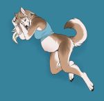  anthro belly big_belly black_nose blue_background bodyxcount canid canine canis domestic_dog female fur hair hi_res long_hair mammal multicolored_body multicolored_fur one_eye_closed pregnant simple_background smile solo tan_body tan_fur two_tone_body two_tone_fur white_body white_fur 