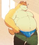  2019 ? anthro aqui belly bottomwear bulge canid canine canis clothing domestic_dog humanoid_hands male mammal moobs navel overweight overweight_male pants paqaaqap solo underwear 
