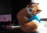  2019 ambiguous_gender ball blue_ball blue_eyes blurred_background brown_body brown_fur canid canine claws curtains curtains_open desk desktop detailed detailed_fur digital_media_(artwork) dipstick_tail edit eye_reflection feral firefox fox fur furniture gloves_(marking) holding_ball holding_object inner_ear_fluff leg_markings long_tail looking_at_viewer mammal markings multicolored_body multicolored_fur multicolored_tail orange_body orange_fur photo_background photo_manipulation reflection silverfox5213 socks_(marking) solo thick_tail tuft whiskers white_body white_fur window 
