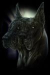  2013 black_body black_fur black_nose canid canine canis digital_media_(artwork) domestic_dog fur hi_res mammal wolfroad 