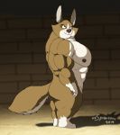  anthro butt canid canine canis domestic_dog herding_dog hi_res male mammal muscular muscular_male nipples nude pastoral_dog pecs solo welsh_corgi xxsparcoxx 